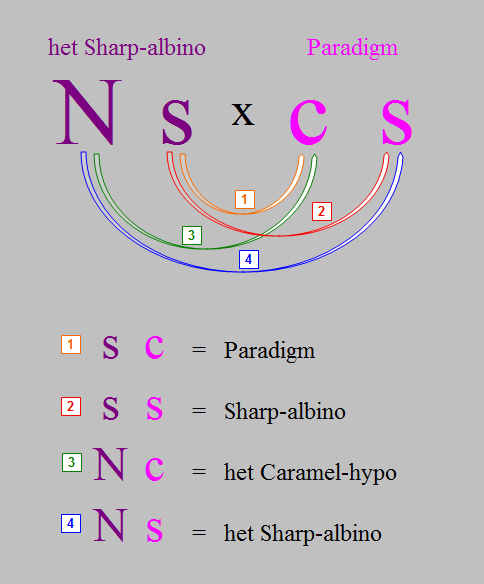 hetsharp-paradigm-arrow-diagram.jpg