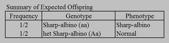 sharp-albino-offspring-summary560.jpg